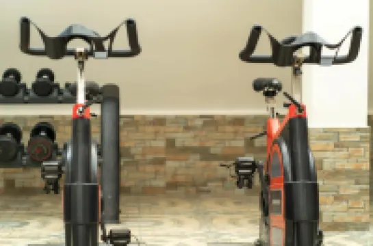 布爾津県河畔藝墅ホリデイホテル ブルチンのホテル