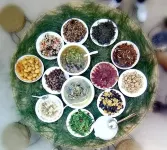 Tianlai Santai Homestay