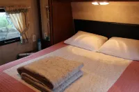 Mei the Caravan