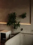 Banshan Yicheng · Banshan Designer Viewing Casu (Lijiang Ancient City Dashuiche Shop) - Romantische
