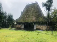 仙女山森也度假飯店 武隆天生三橋附近的飯店