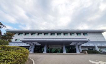 5. 블룸 호텔 제주..