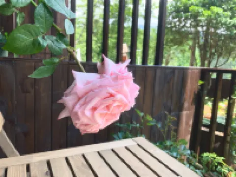 Shaoshan Xixi Homestay