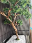 VX Hotel (Lianyungang Haiyang Daxue Julong Road Hotel) - 3-Star