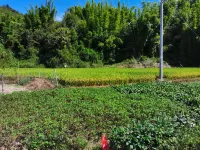 Longyuan Farm Homestay