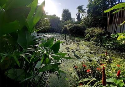 その他 ヴィアン ターペー リゾートの写真