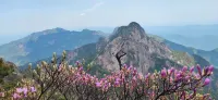 Shitai Leyi Mountain Villa