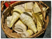 Yixing Bamboo Sea XinSu Inn