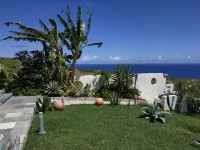 Whale Tails Hotel Hotels in 