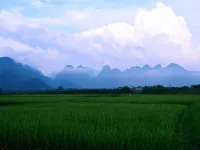 陽山縣七拱鎮禾田童畫民宿 陽山酒店