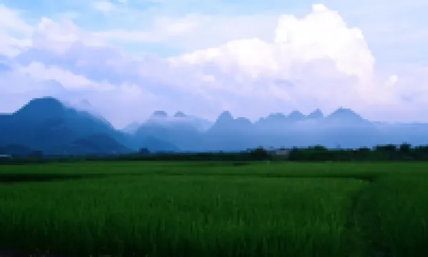 陽山縣七拱鎮禾田童畫民宿