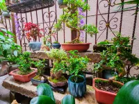 Jinyun Mountain Zheqi Residential Residence (Xiandu Scenic Area Shop)