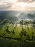 Ubud Mas Glamping Luxury Tent - Cottages