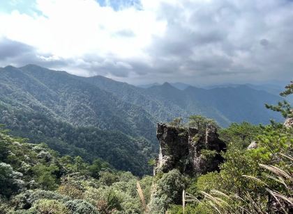 松陽梨庭別院民宿
