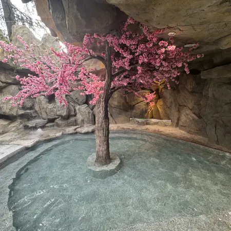Nanqiao Qingcheng Hot Spring & Cinema Hotel (Dujiangyan Scenic Area Branch)