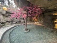 Nanqiao Qingcheng Hot Spring & Cinema Hotel (Dujiangyan Scenic Area Branch) - avec sources thermales