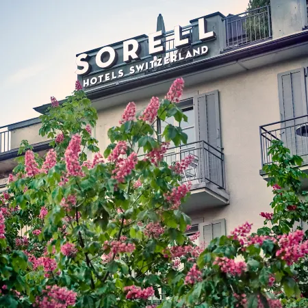 Boutique-Hotel Speer