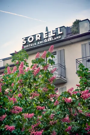 Boutique-Hotel Speer Отели в г. Фойсисберг