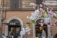 Yes Hotel Boutique Rome のホテル