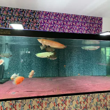 Naha Shintoshin Hotel