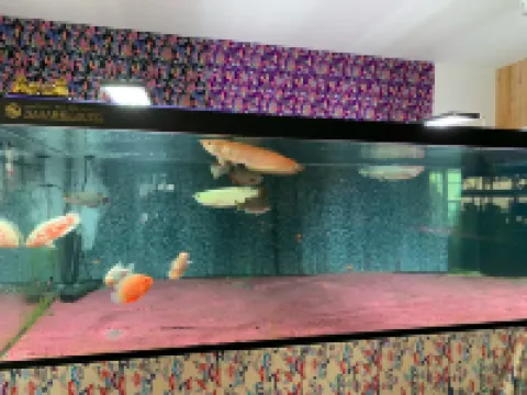 那霸新都心酒店