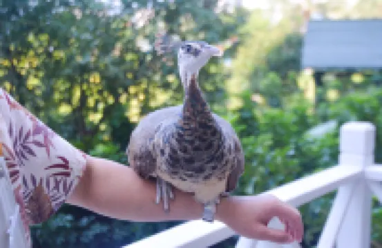 温州金海岸ニューセンチュリー グランドリゾートホテル