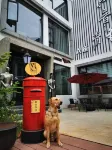 Fuyang Yuyin Blue Homestay (Tianmu Hunan Mountain Bamboo Sea Scenic Area) - bar
