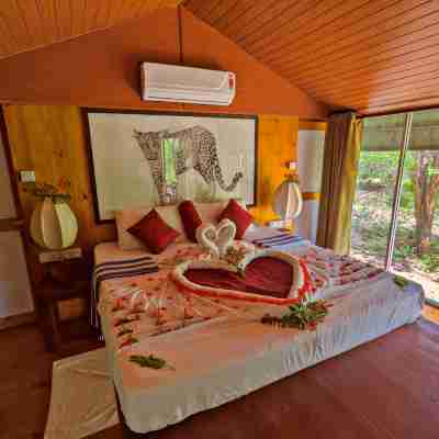 Yala Hotel Lion -Air Conditioned High Luxury Safari Camp Others