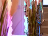 Stay seorae Hotels near Central City