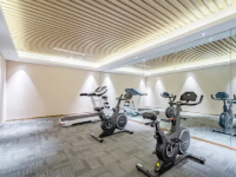 歡朋假日酒店(石家莊新樂河北美術學院店) 新樂酒店