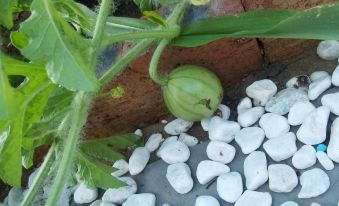 Shengsi Shiqi Homestay