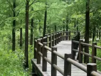 Changxing Xuanguo Forest Homestay