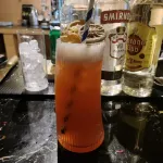 Muhua Private Hot Spring Hotel (Daocheng Yading Scenic Area Branch) - bar
