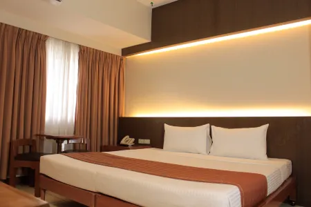 Palm Hotel Manila Отели рядом с достопримечательностью «National Library of the Philippines»