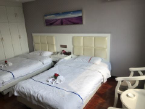 内乡梨苑主题酒店 - 娱乐休闲房