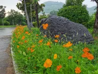 Yizhengyuan Hotel - Mountain view