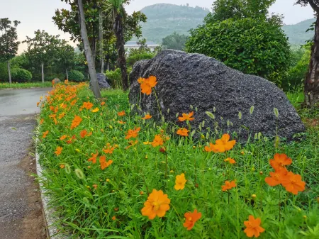 Yizhengyuan Hotel Отели в г. Цзаочжуан