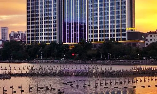 Auspicious Phoenix Hotel