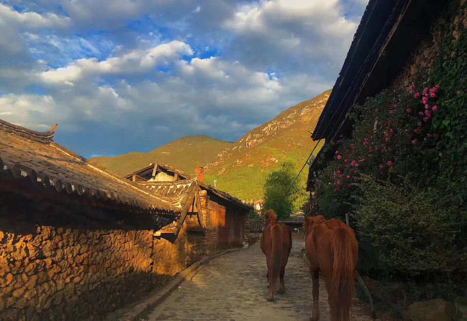 Aromatic Hotel Snow Mountain View