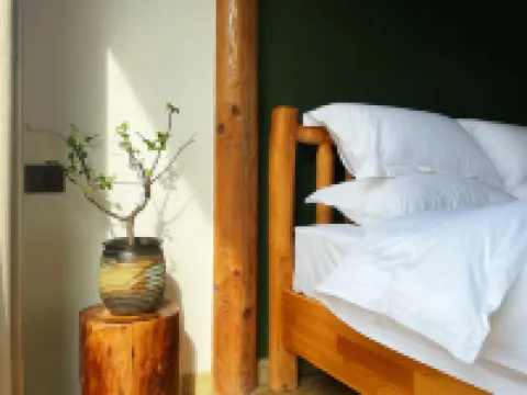 Without SouthMountain Homestay on the South Slope
