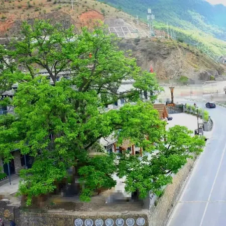 Shanbara Homestay (Daocheng Yading Visitor Center)
