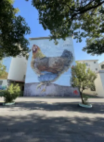 清遠寓意庭居民宿