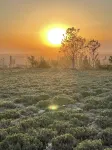 Huocheng Guozigou Shuimu Countryside Villa - بار
