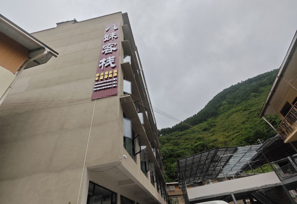 자이언트 판다 이미지