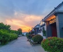 Yewang Qingshanli Tea-themed Stay