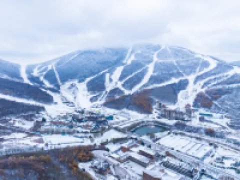 Snowscape Residences