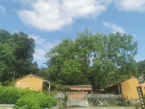 Yukang Valley Courtyard
