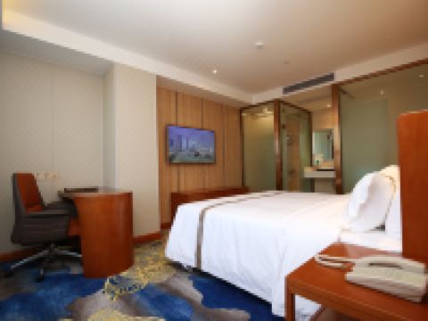 吴川南海酒店 - 豪华大床房