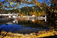 Tengchong Yingxingyuan Farm Stay