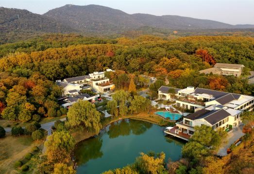 난징 포진 화젠징·피파산속의 집